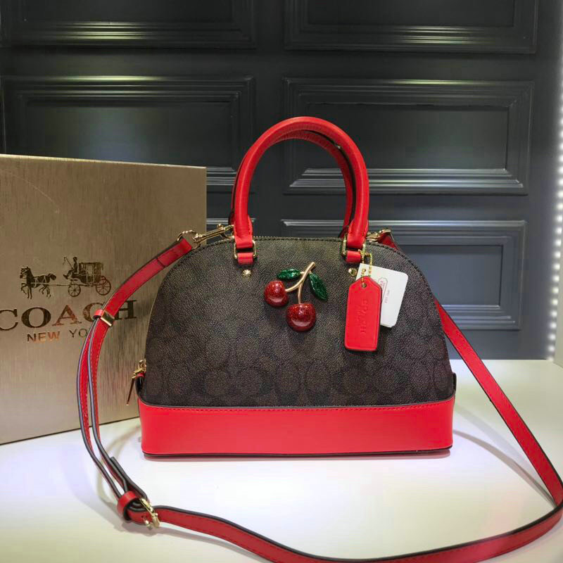 Wholesale Cheap COACH Womens Leather shell bag for sale