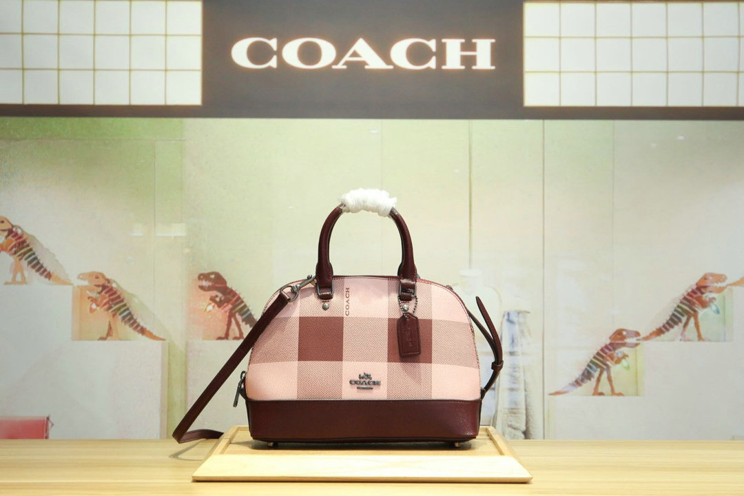 Wholesale Cheap COACH Womens Leather shell bag for sale