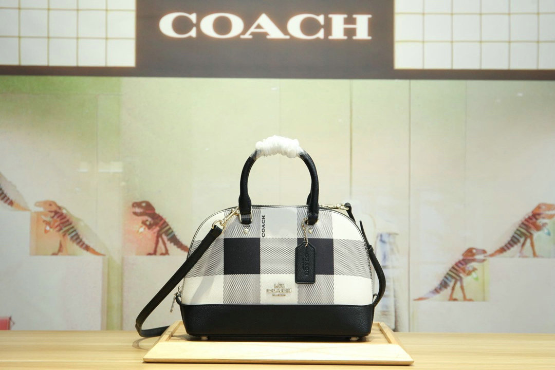 Wholesale Cheap COACH Womens Leather shell bag for sale