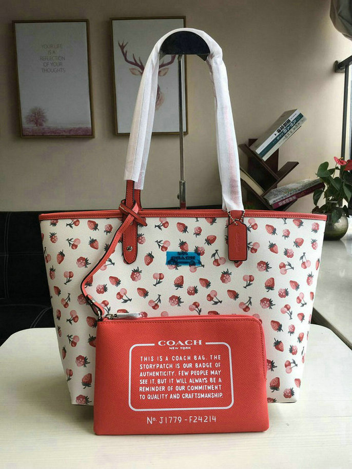 Wholesale Fashion Coach Womens Designer Handbags Sale