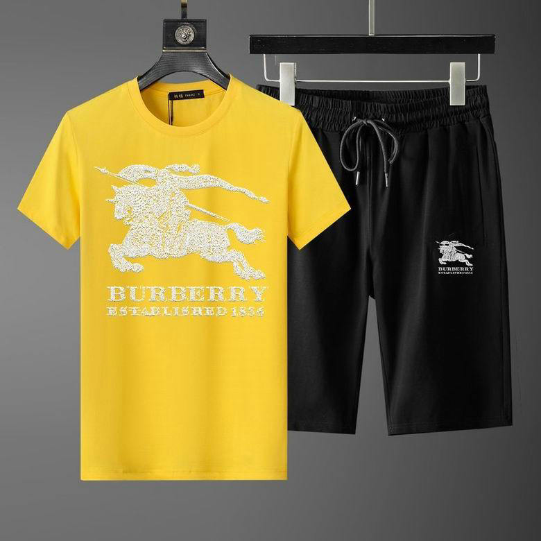 Wholesale Cheap B urberry Short Sleeve Men Tracksuit for Sale