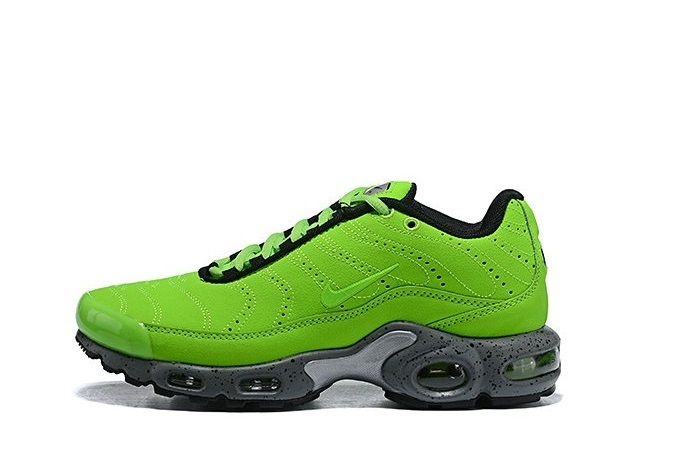 Nike Air Max Plus Tn for Sale