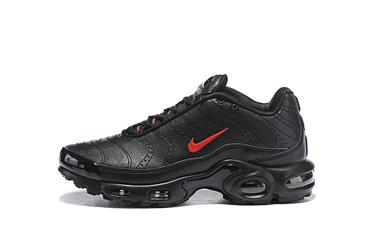 Nike Air Max Plus Tn for Sale