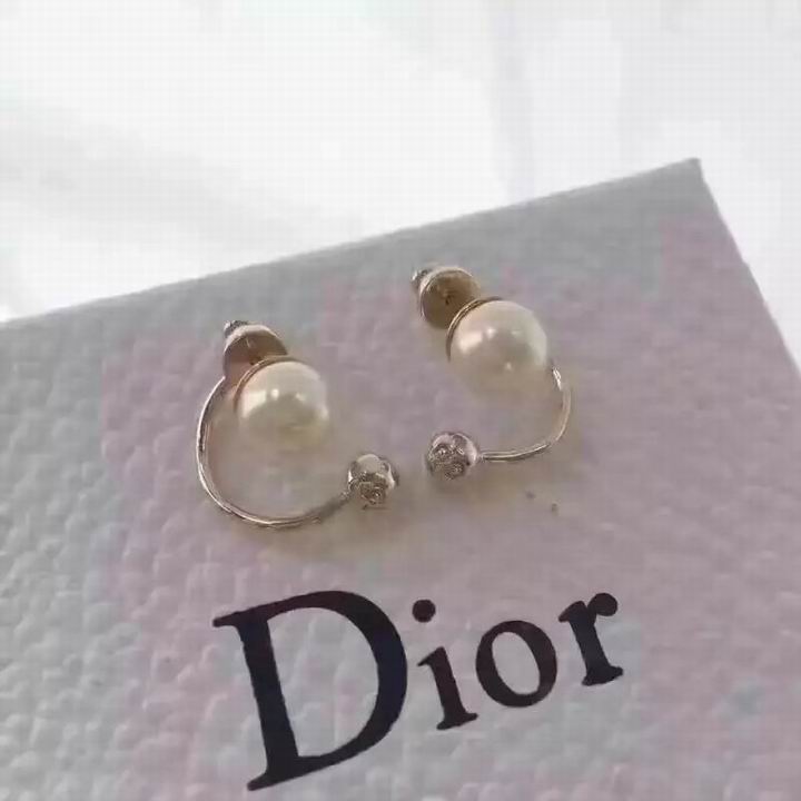 Wholesale Christian Dior Earrings Replica-015