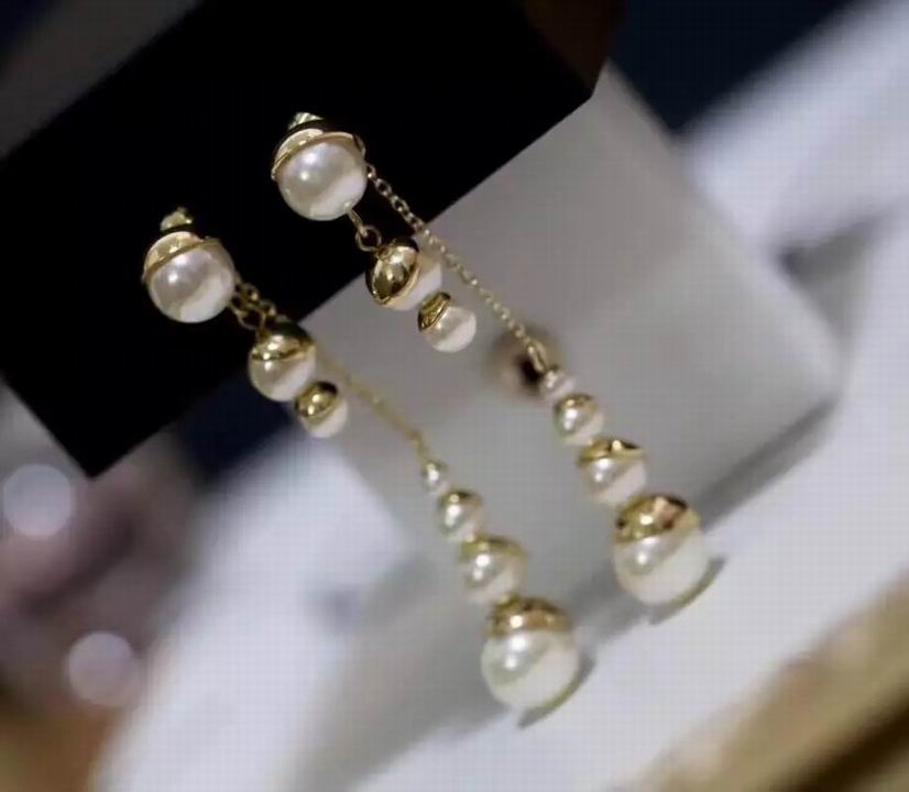 Wholesale Christian Dior Earrings Replica-024