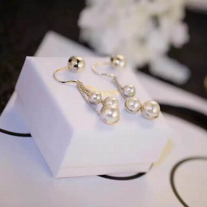 Wholesale Christian Dior Earrings Replica-032