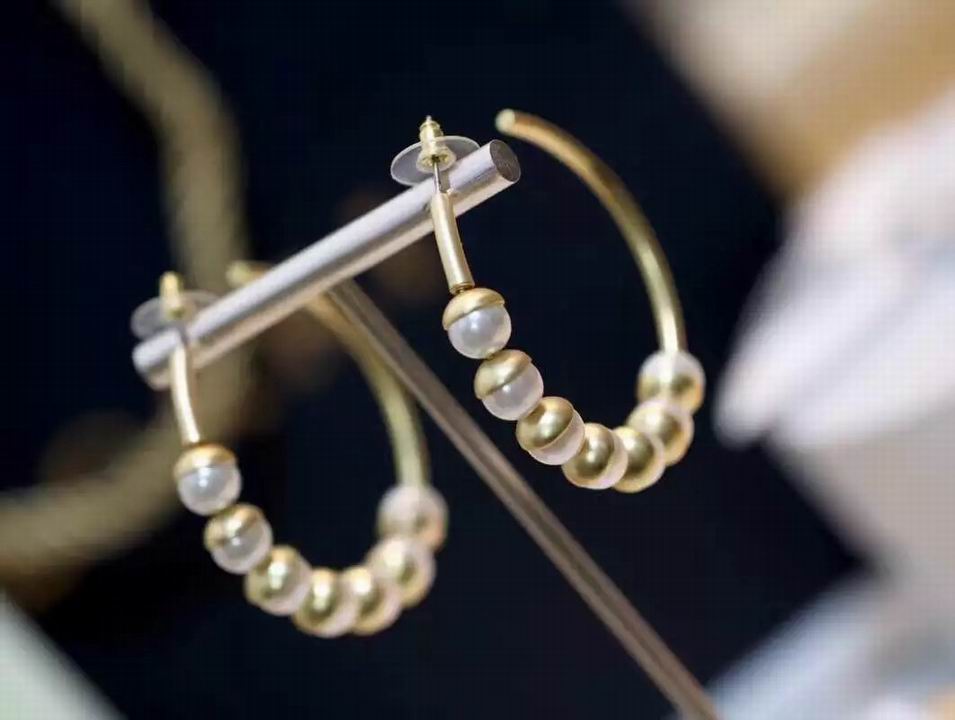 Wholesale Christian Dior Earrings Replica-033