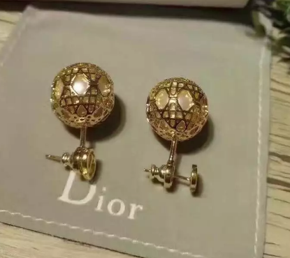 Wholesale Christian Dior Earrings Replica-041