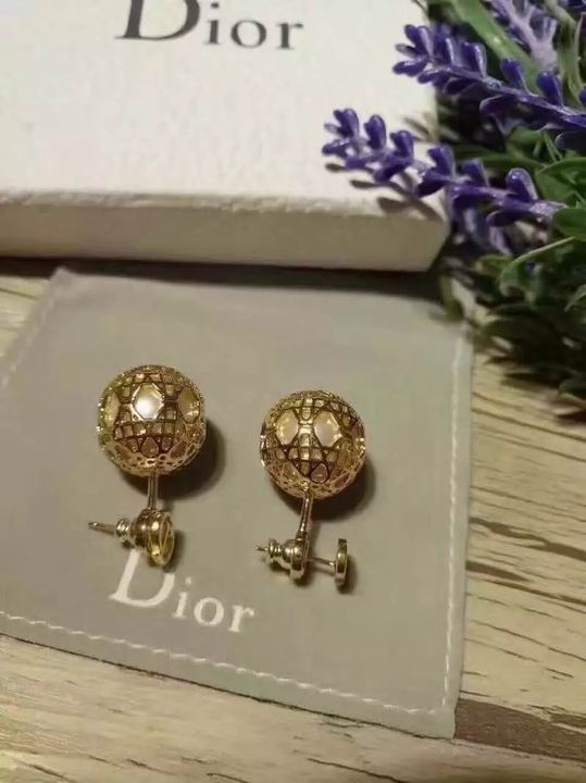 Wholesale Christian Dior Earrings Replica-050