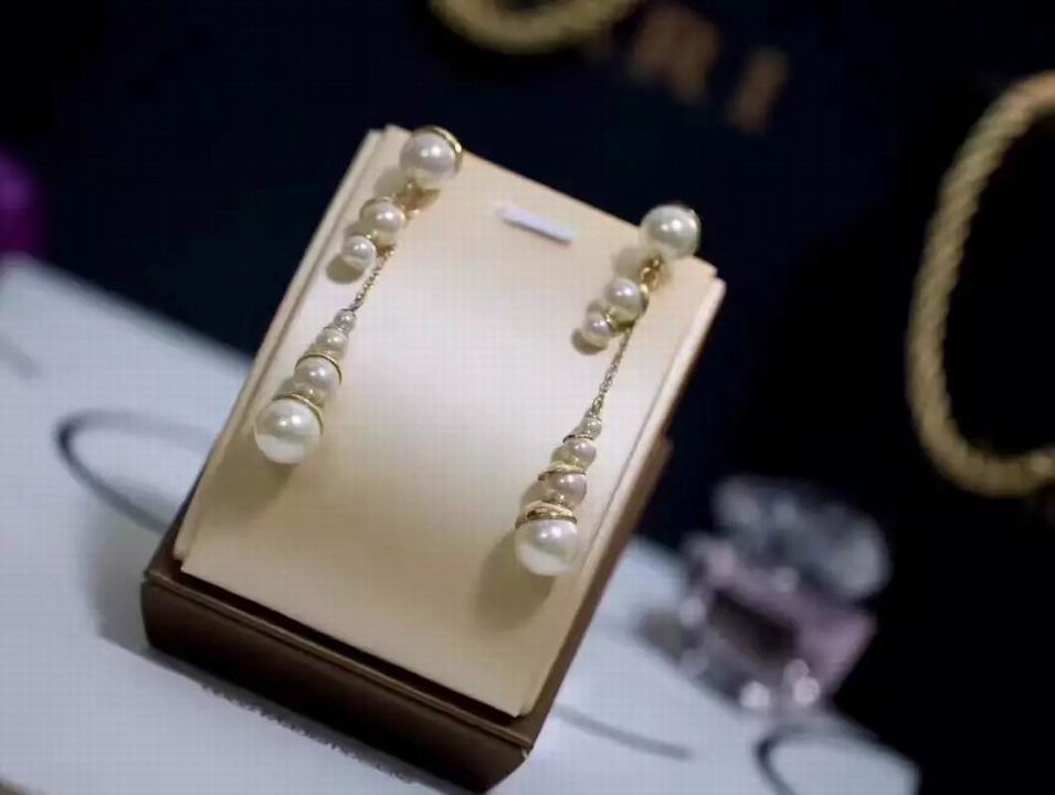 Wholesale Christian Dior Earrings Replica-059