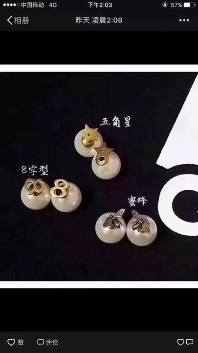 Wholesale Christian Dior Earrings Replica-062