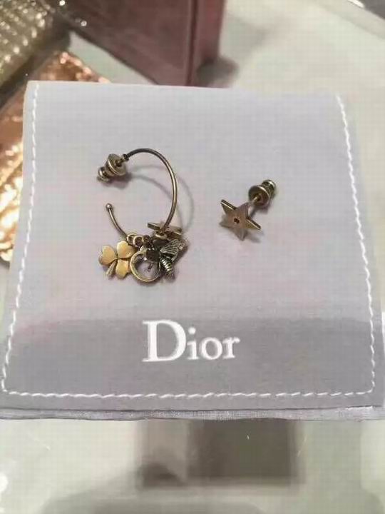 Wholesale Christian Dior Earrings Replica-076