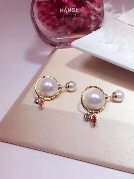 Wholesale Christian Dior Earrings Replica-078
