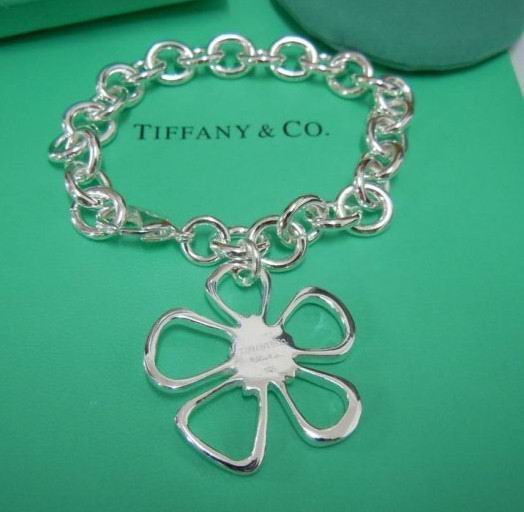 Wholesale Cheap Tiffany & Co Bracelets Replica-417