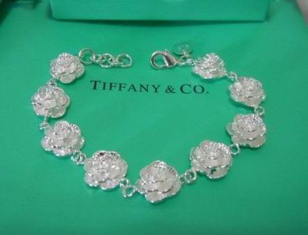 Wholesale Cheap Tiffany & Co Bracelets Replica-427