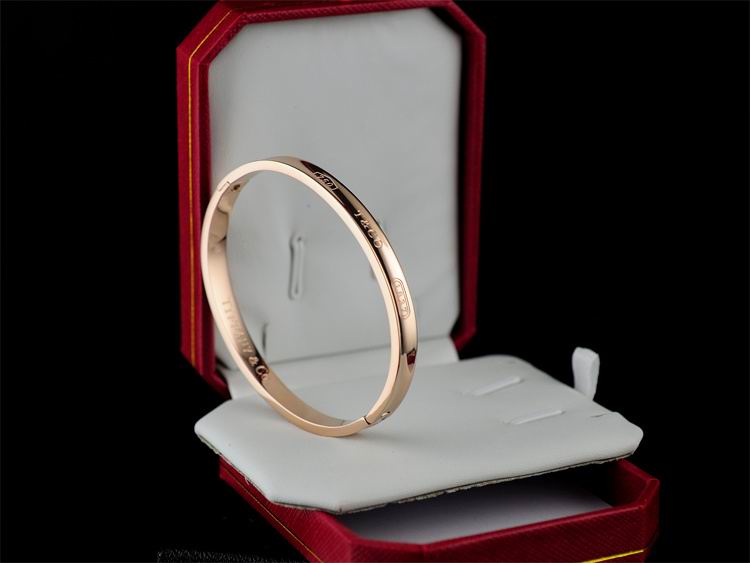 Wholesale Fashion Tiffany & Co Bracelets-418