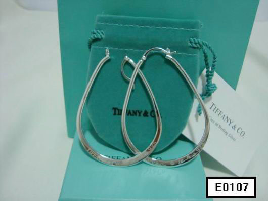Wholesale Replica Tiffany & Co Earrings Cheap-018