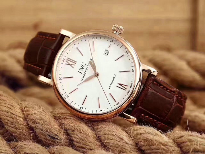 Wholesale IWC Swiss Luxury Watches for Sale-005