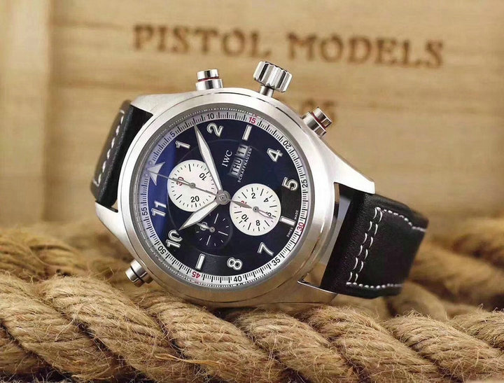 Wholesale IWC Swiss Luxury Watches for Sale-009