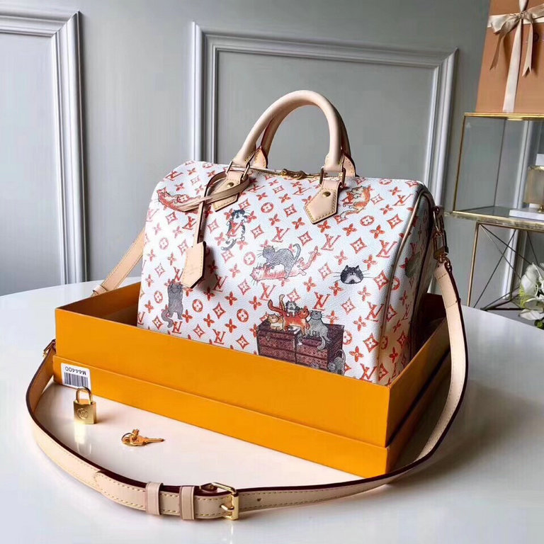 Louis Vuitton Speedy 30 Bandouliere Bags